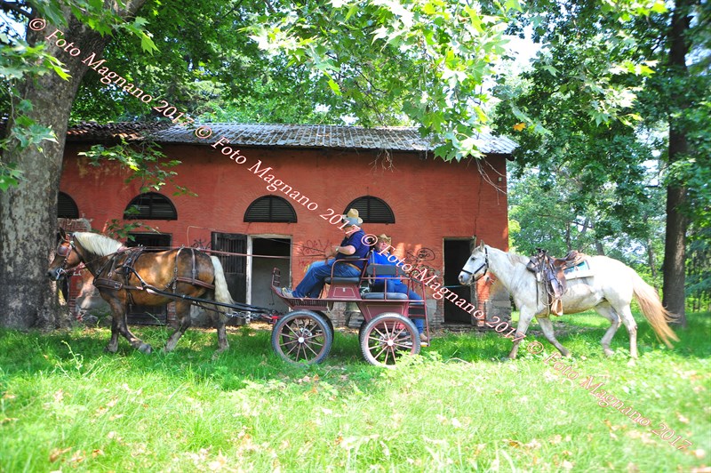 DSC_0982.JPG
